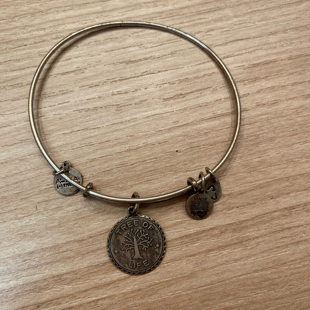 Alex and Ani bracelet- Tree of Life
